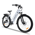 Новый Electric City Ficycle